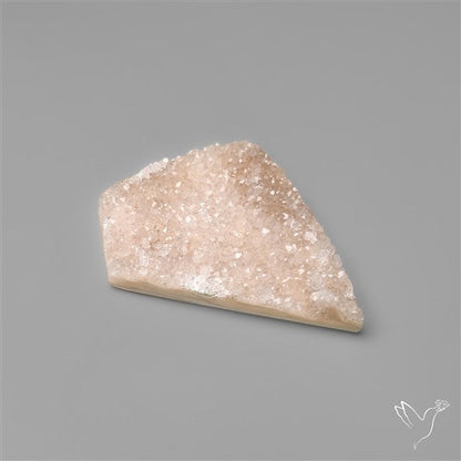 Rare Petrified Wood Druzy Arizona