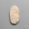 Rare Petrified Wood Druzy Arizona