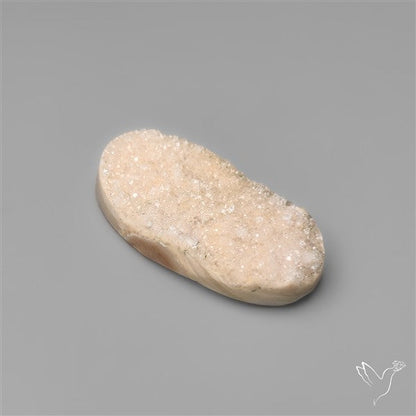Rare Petrified Wood Druzy Arizona
