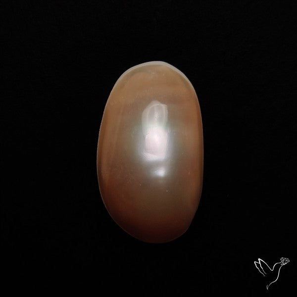 Cortez Mabe Pearl