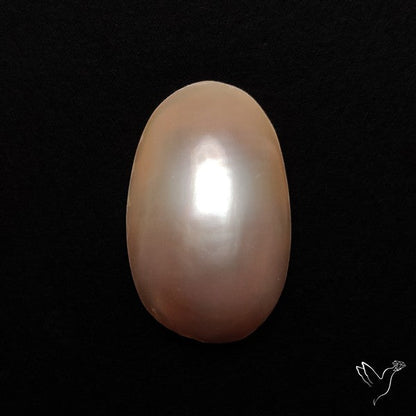 Cortez Mabe Pearl
