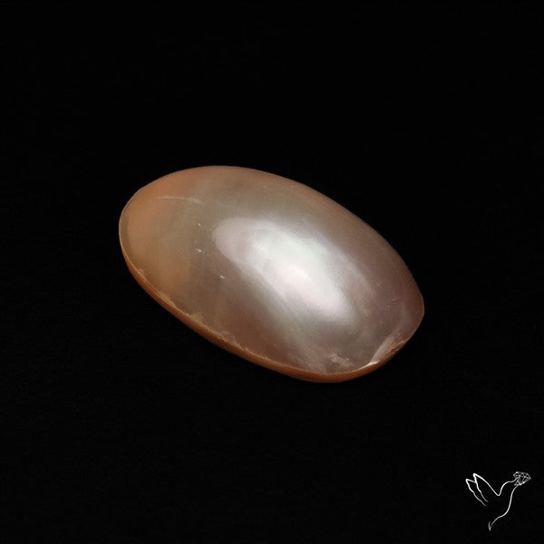 Cortez Mabe Pearl