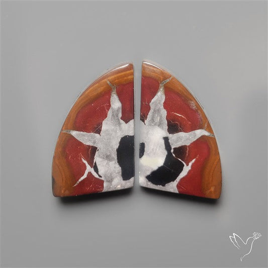 Black Septarian Fossils Pair