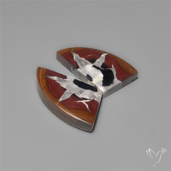 Black Septarian Fossils Pair
