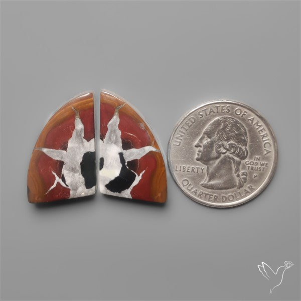 Black Septarian Fossils Pair
