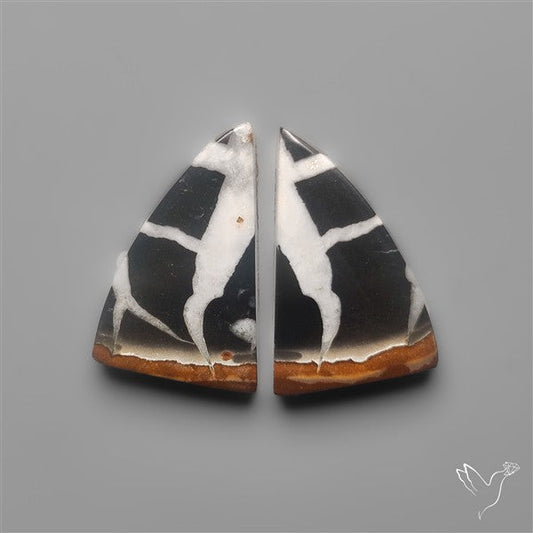 Black Septarian Fossils Pair