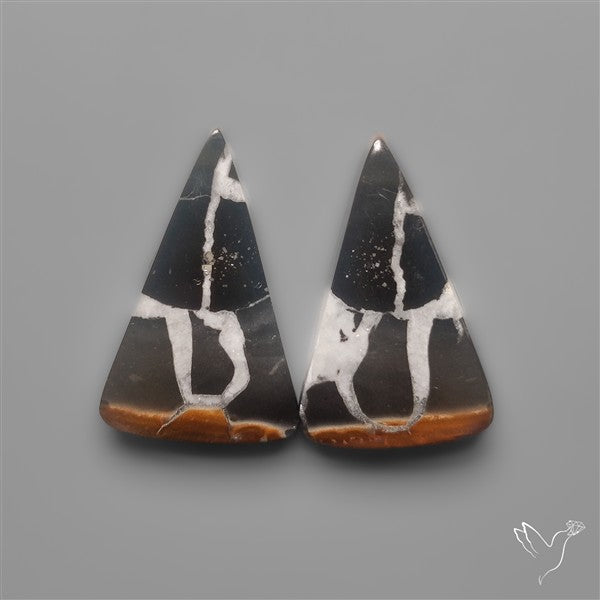 Black Septarian Fossils Pair