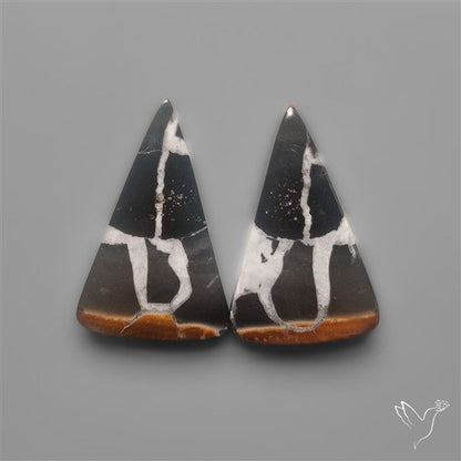 Black Septarian Fossils Pair
