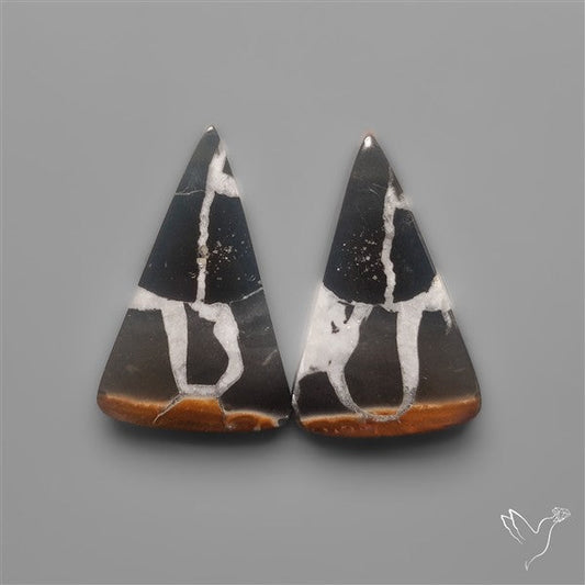Black Septarian Fossils Pair