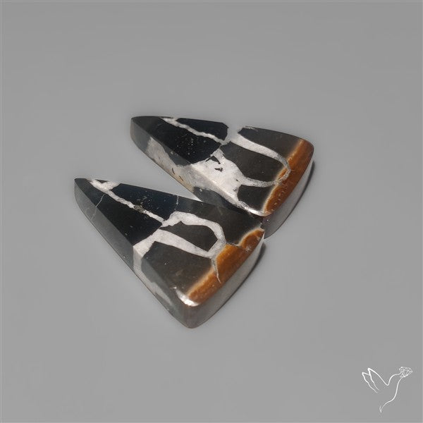 Black Septarian Fossils Pair