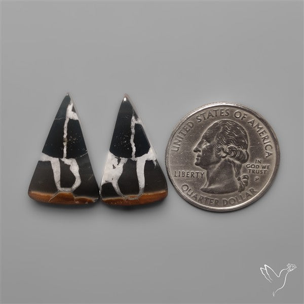 Black Septarian Fossils Pair