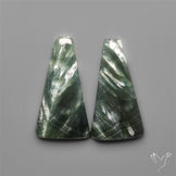 Seraphinites Pair