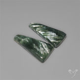Seraphinites Pair
