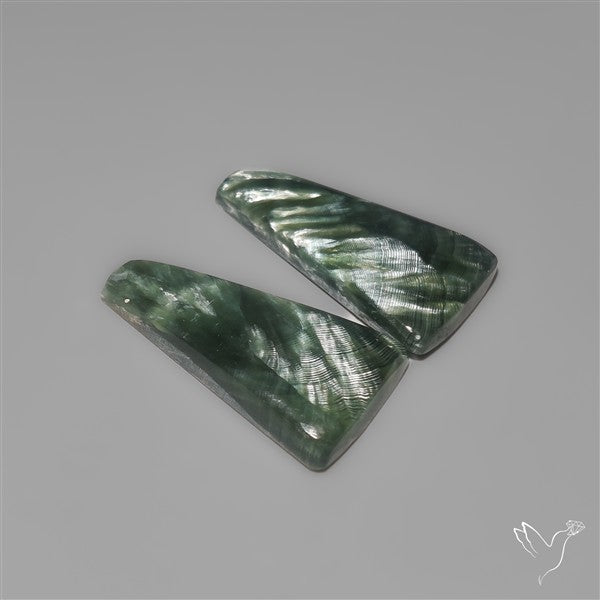 Seraphinites Pair