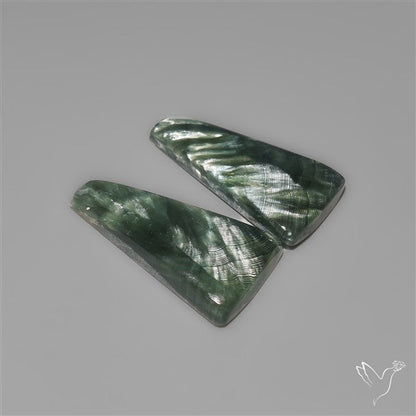 Seraphinites Pair