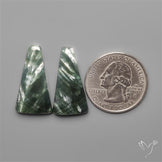 Seraphinites Pair