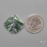 Seraphinites Pair