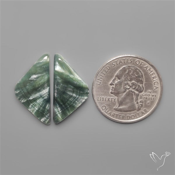 Seraphinites Pair