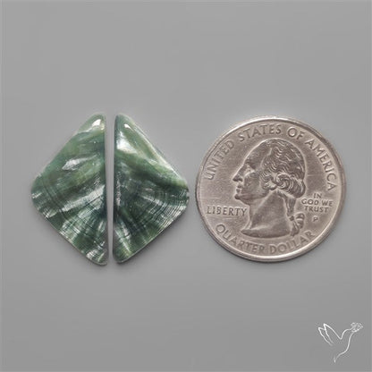 Seraphinites Pair