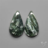 Seraphinites Pair
