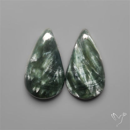 Seraphinites Pair