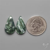 Seraphinites Pair