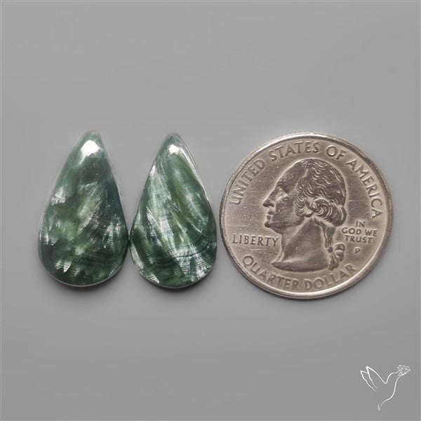 Seraphinites Pair