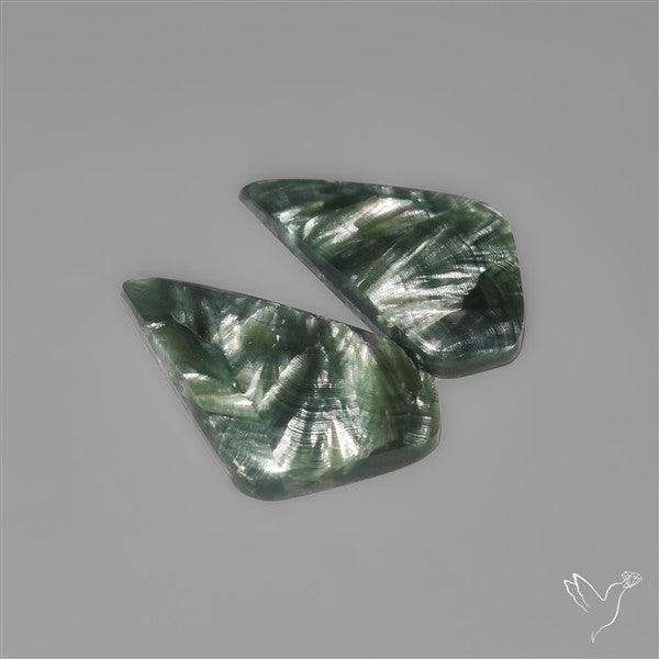 Seraphinites Pair