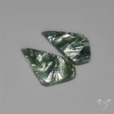 Seraphinites Pair