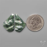 Seraphinites Pair