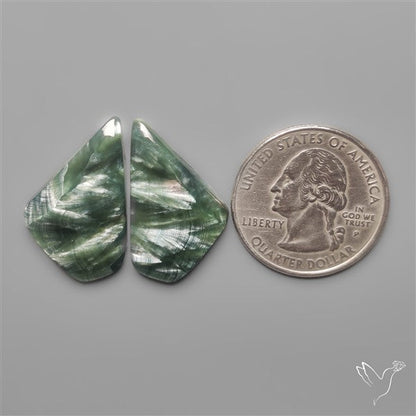 Seraphinites Pair