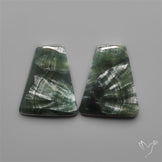 Seraphinites Pair