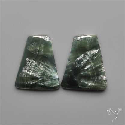 Seraphinites Pair