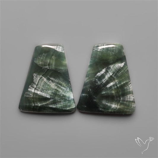 Seraphinites Pair