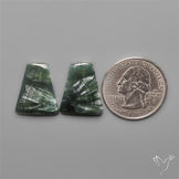 Seraphinites Pair