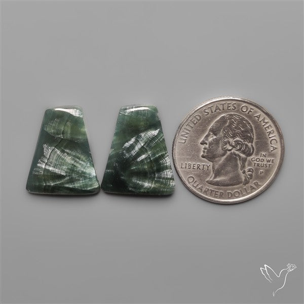 Seraphinites Pair