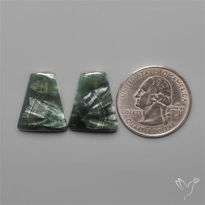 Seraphinites Pair