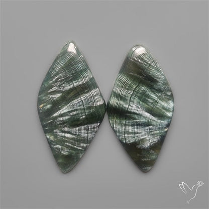 Seraphinites Pair