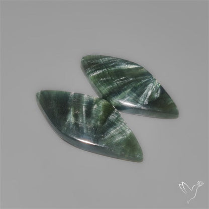 Seraphinites Pair