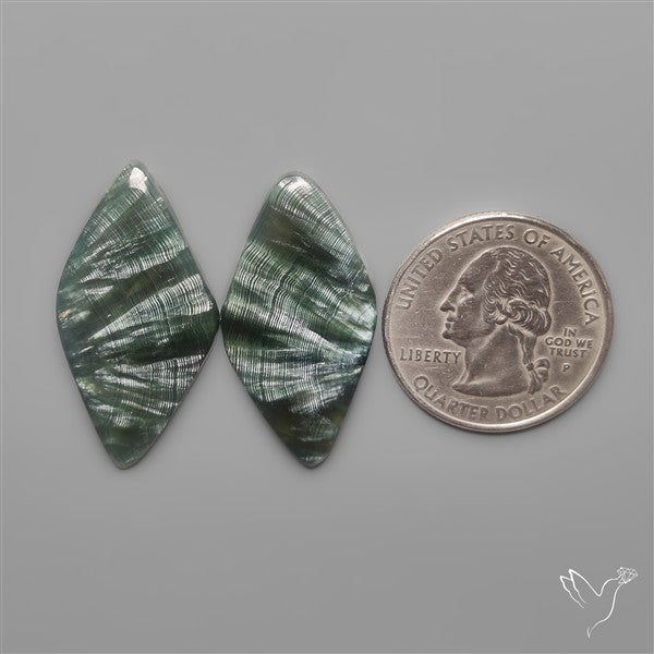 Seraphinites Pair