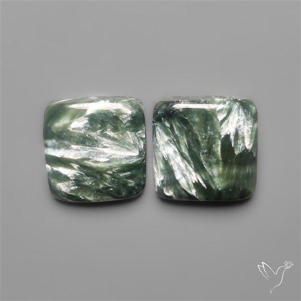 Seraphinites Pair