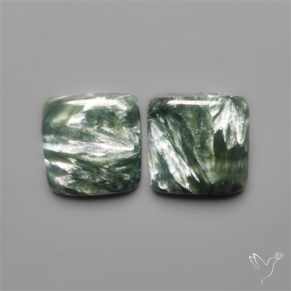 Seraphinites Pair
