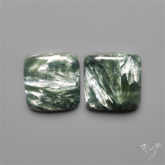 Seraphinites Pair