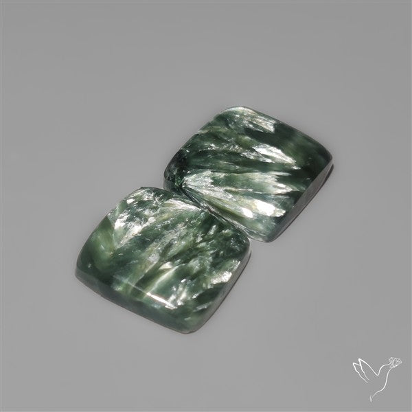 Seraphinites Pair