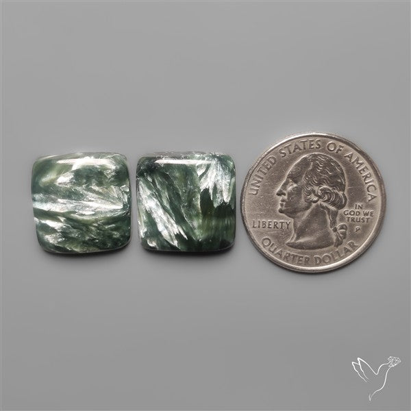 Seraphinites Pair
