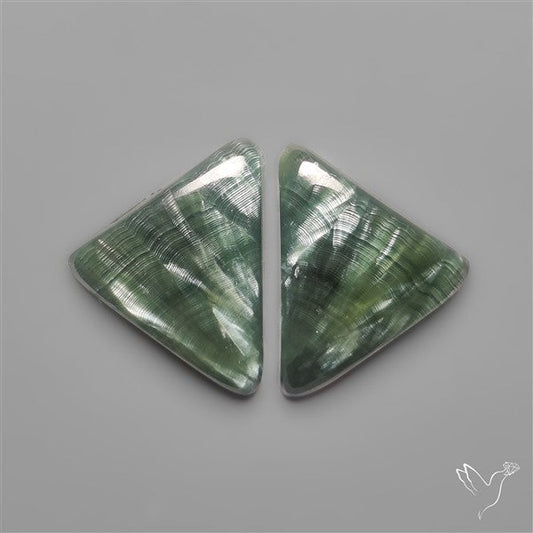 Seraphinites Pair