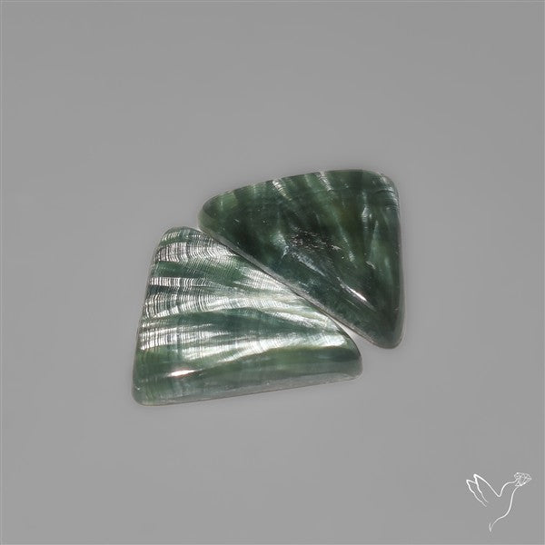 Seraphinites Pair