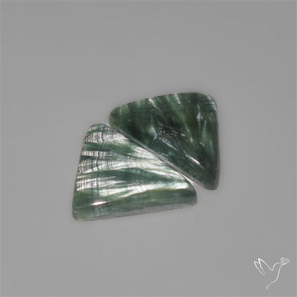 Seraphinites Pair