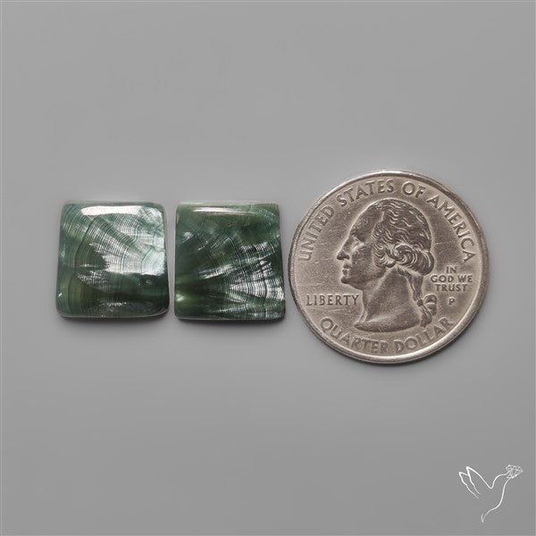 Seraphinites Pair