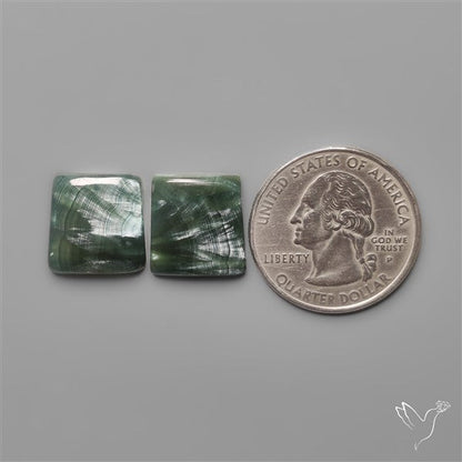 Seraphinites Pair